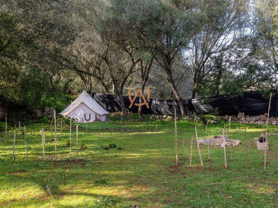 Finca i Algaida, Mallorca - foto 5